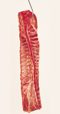 karbonadestreng